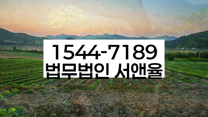 채무자대리인제도