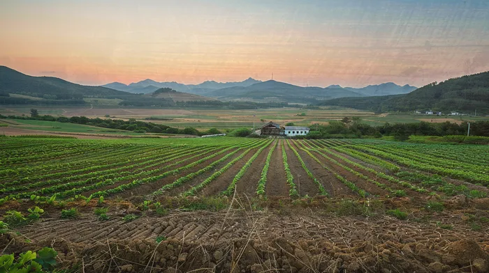 직업군인개인회생