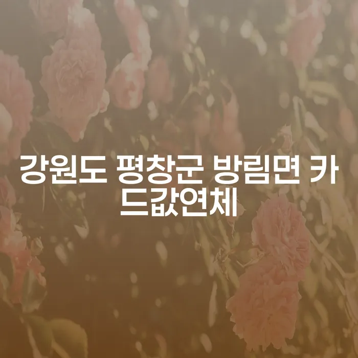 강원도 평창군 방림면에서의 카드값 연체 문제, 어떻게 해결할 수 있을까요?