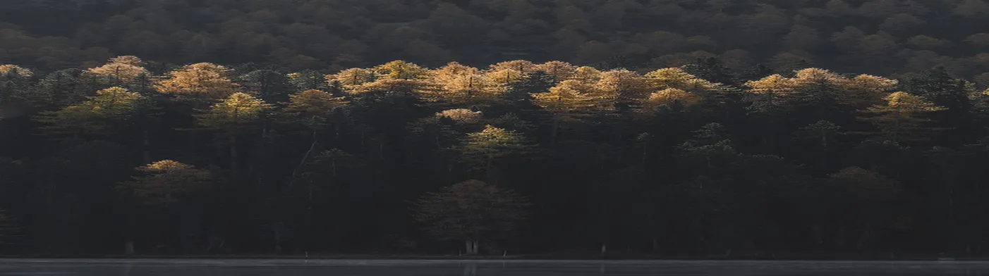 법무법인 서앤율